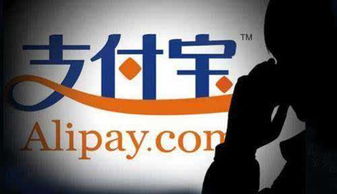 支付寶法人由馬云變更為葉郁青，官方回應(yīng) 變更不涉實質(zhì)調(diào)整