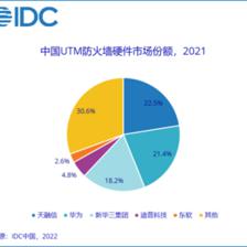 2021中國網絡安全硬件市場解析 防火墻領域天融信領跑，行業迎來新機遇與挑戰